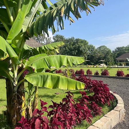 Tanzania Safari Lodge Αρούσα Εξωτερικό φωτογραφία